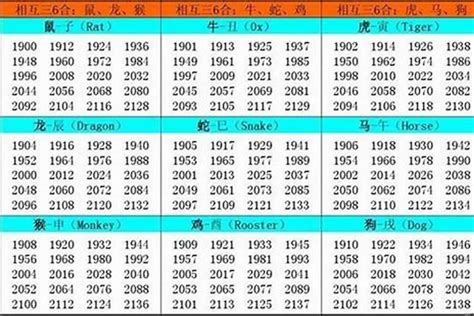 1995是什么猪|1995年出生属什么生肖 1995年属猪是什么命